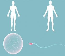 新闻中心_搜狐网站