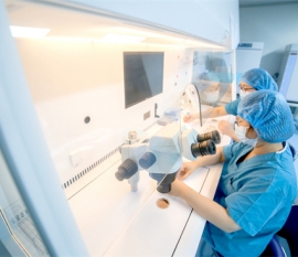 浙江二胎准生证办理流程是怎样的